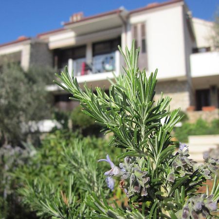 Apartments Palma & Pino เซรส ภายนอก รูปภาพ