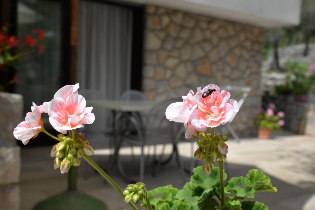 Apartments Palma & Pino เซรส ภายนอก รูปภาพ